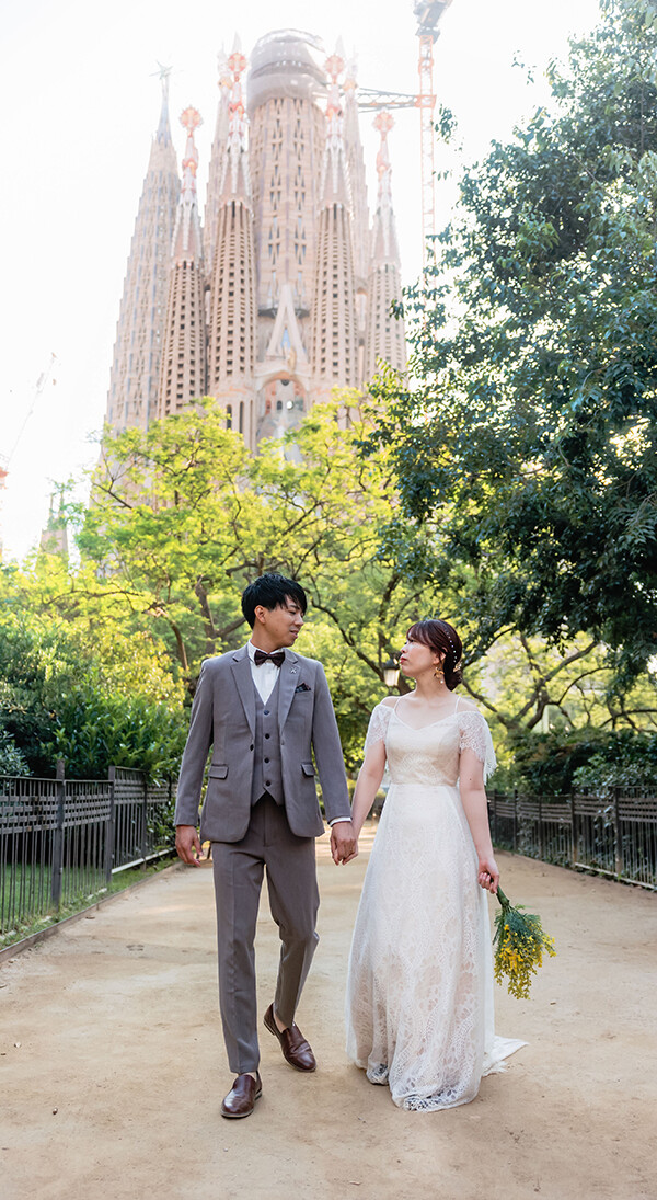 Rose gray & Chrome yellow